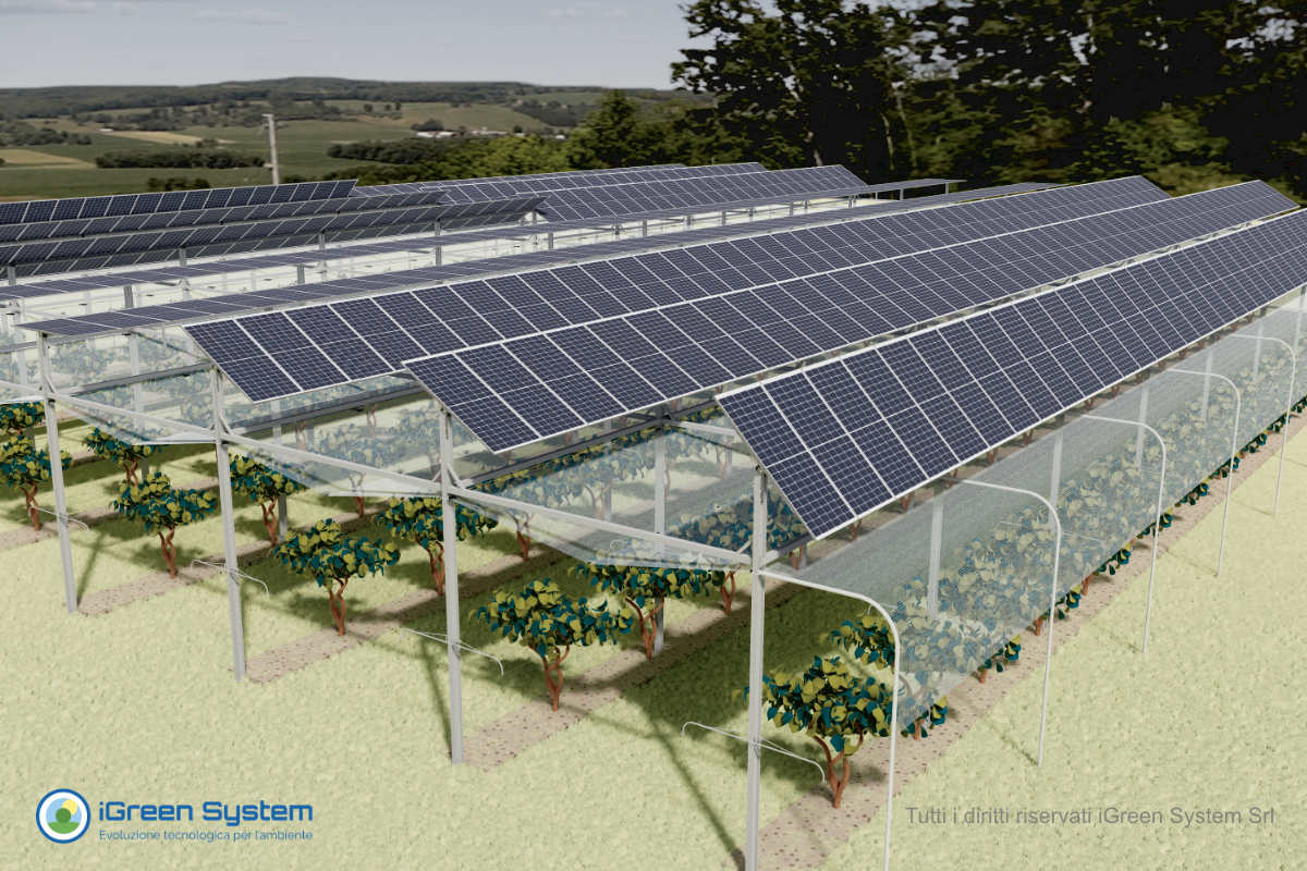 agrivoltaico_frutteti_iGreenSystem