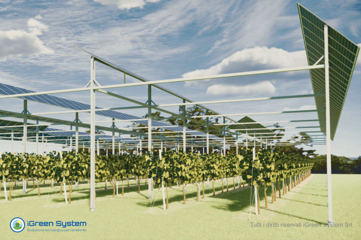 agrivoltaico_spalliera_iGreenSystem